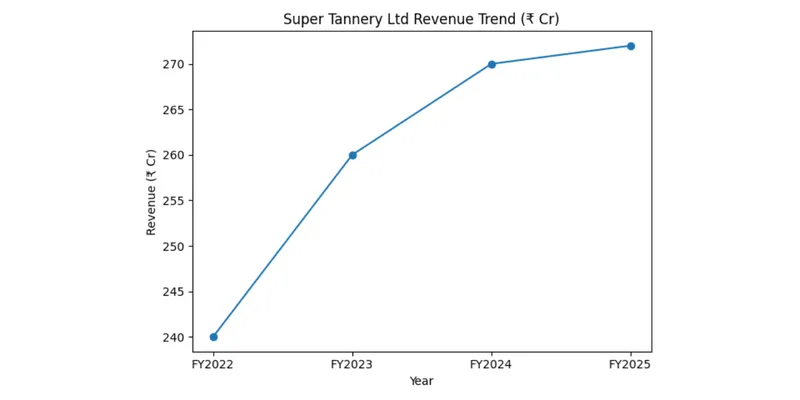 GRILL SPLENDOUR SERVICES (BIRDY’S)  LIMITED FINANCIAL AND BUSINESS ANALYSIS REPORT